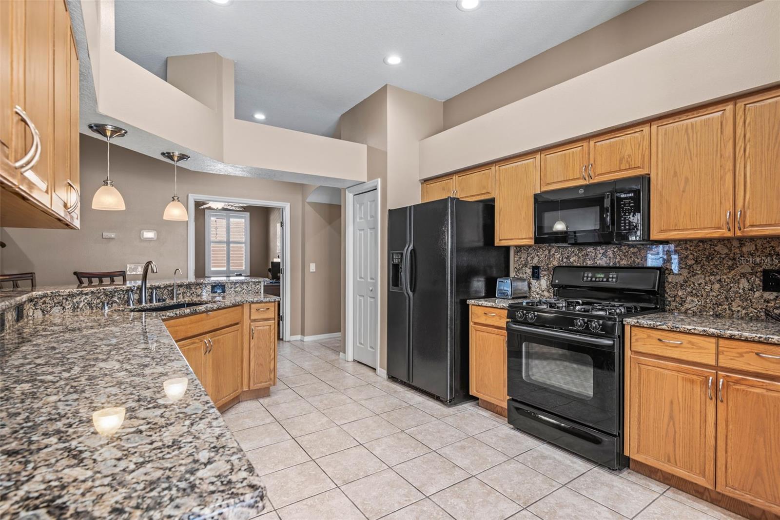4517 HAVELOCKE DR, LAND O LAKES, FL, 34638
