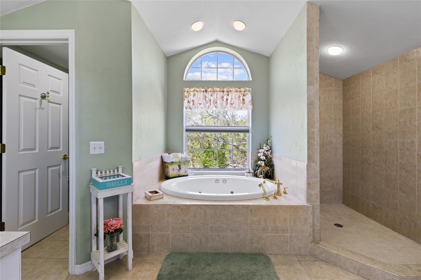 8299 RIVERVIEW RD, FANNING SPRINGS, FL, 32693