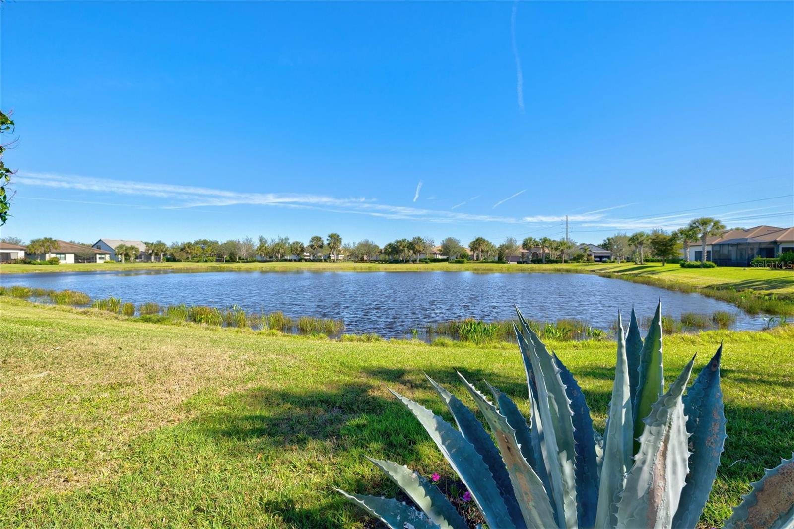 5590 RAIN LILY CT, SARASOTA, FL, 34238