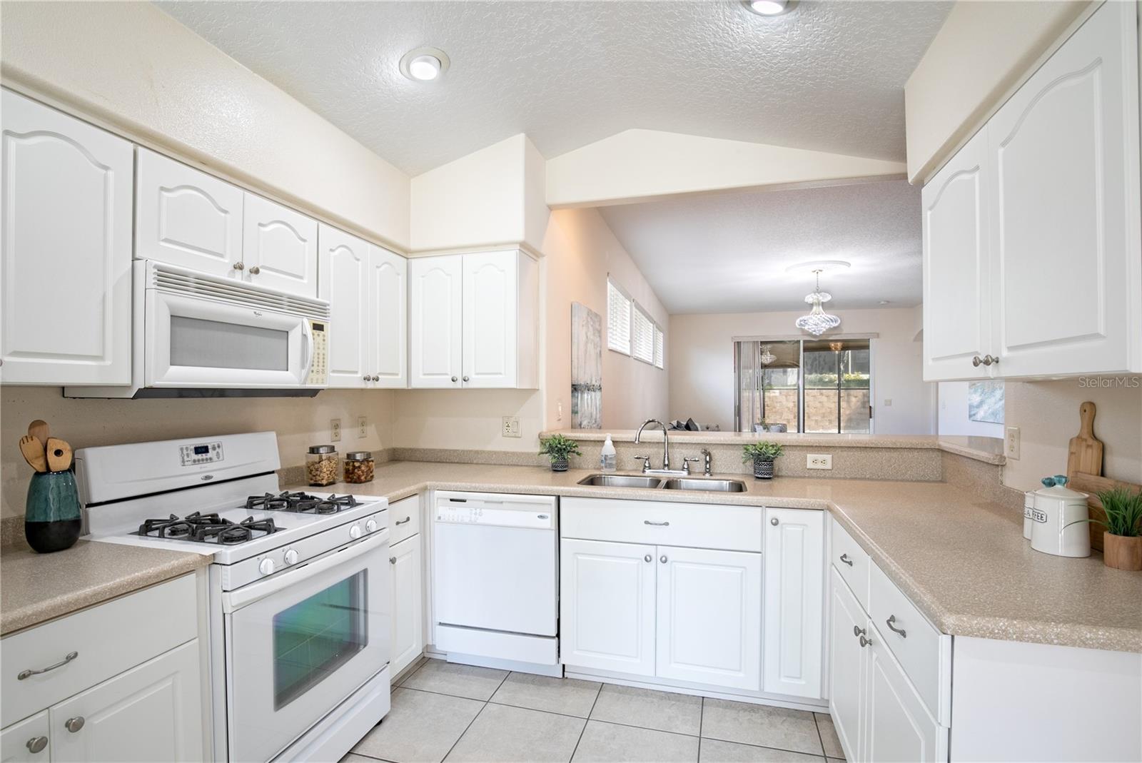 5441 SEA LEOPARD ST, TAVARES, FL, 32778