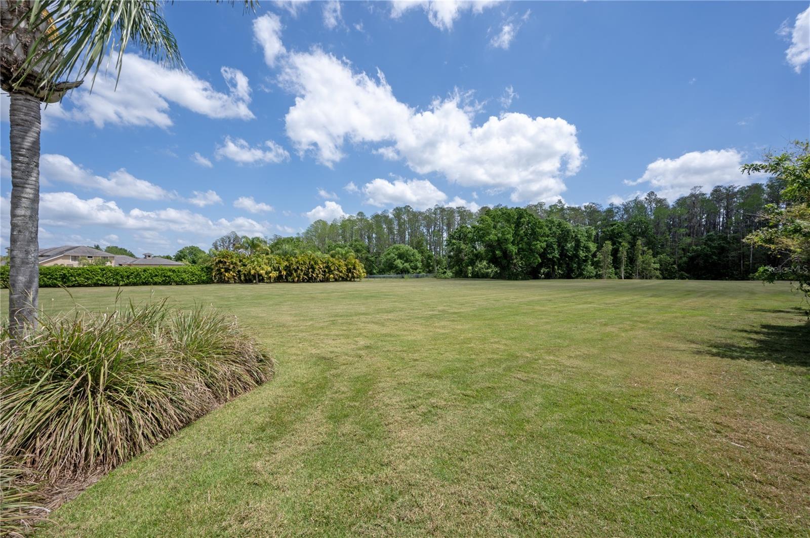 17221 BREEDERS CUP DR, ODESSA, FL, 33556