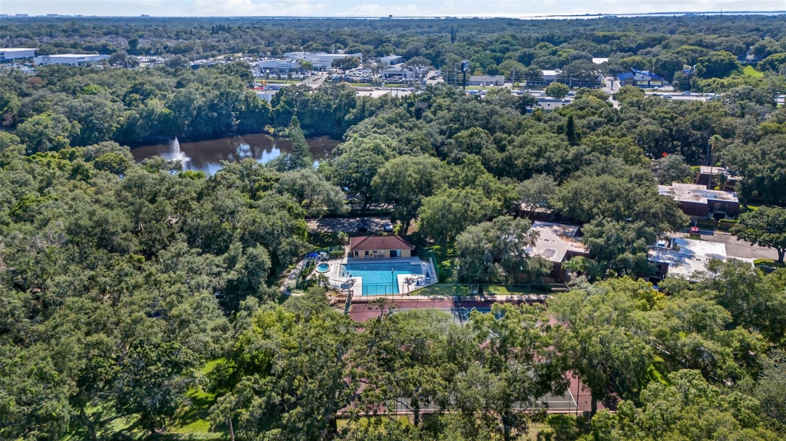 709 1ST CT, PALM HARBOR, FL, 34684