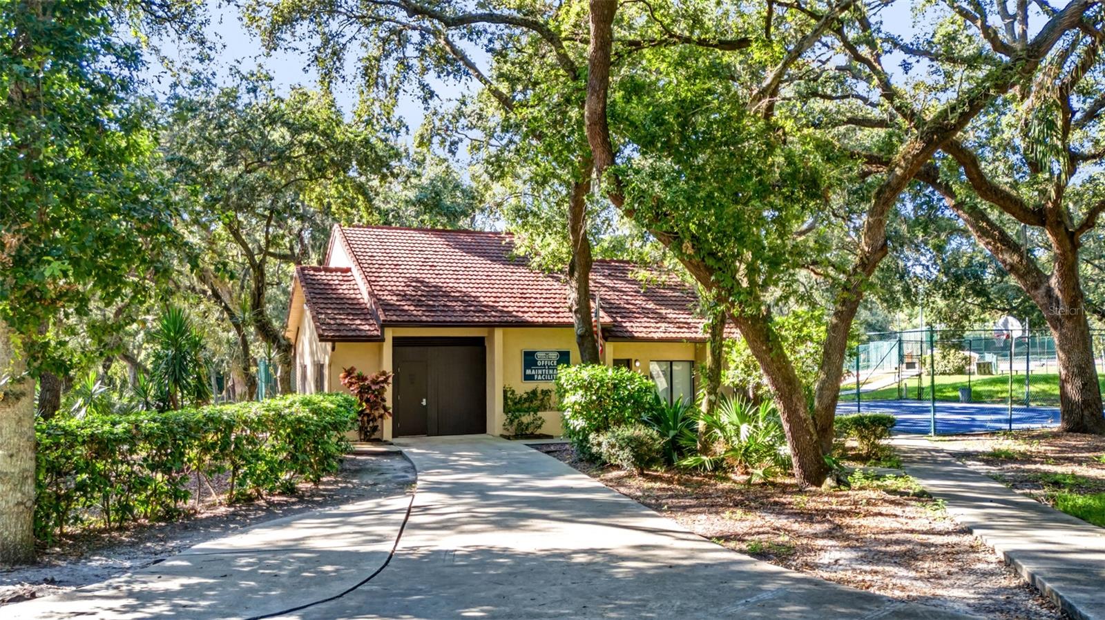 709 1ST CT, PALM HARBOR, FL, 34684