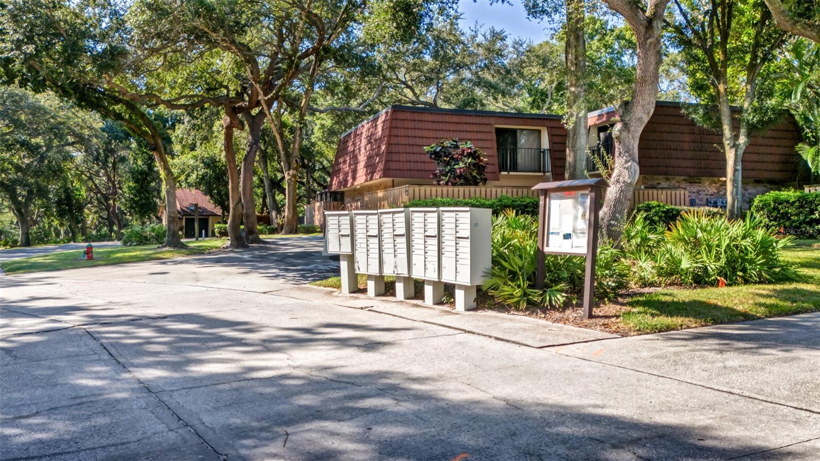 709 1ST CT, PALM HARBOR, FL, 34684