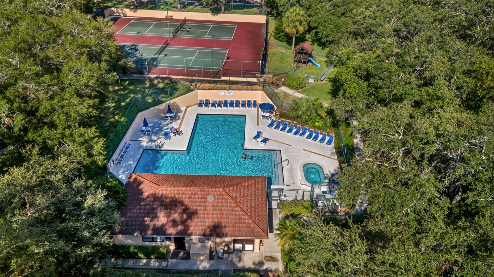709 1ST CT, PALM HARBOR, FL, 34684