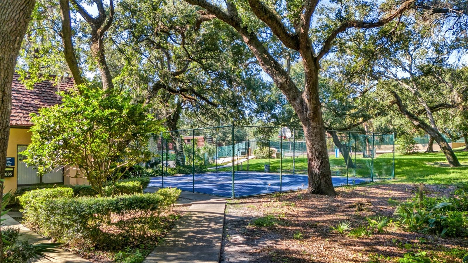 709 1ST CT, PALM HARBOR, FL, 34684