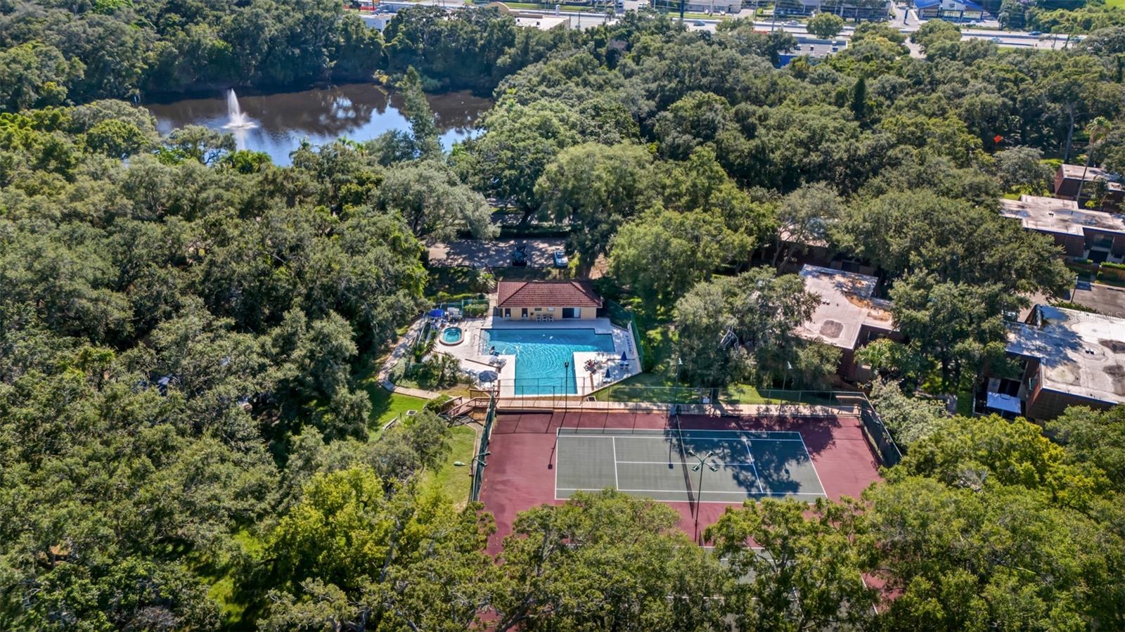 709 1ST CT, PALM HARBOR, FL, 34684