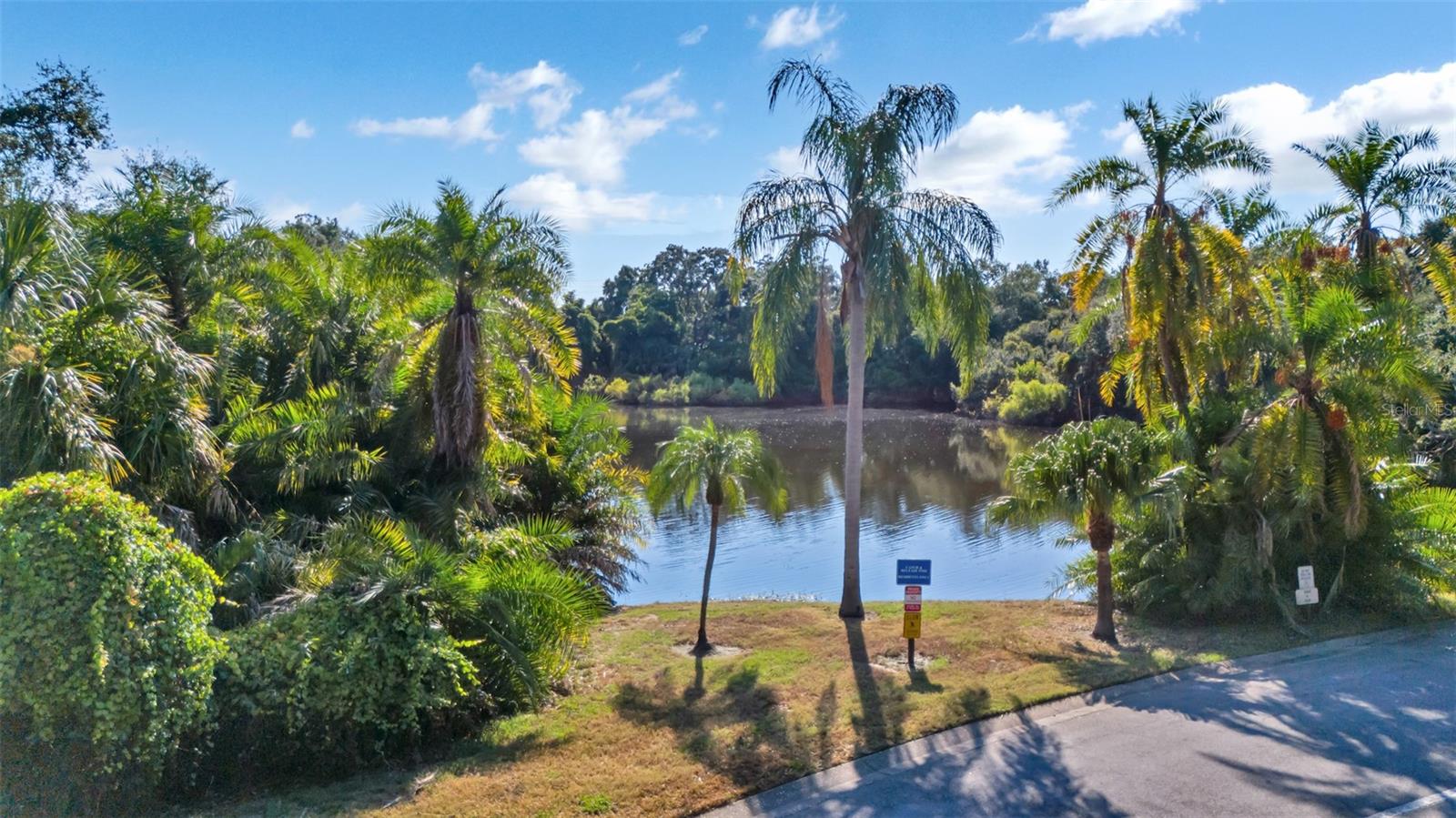 709 1ST CT, PALM HARBOR, FL, 34684