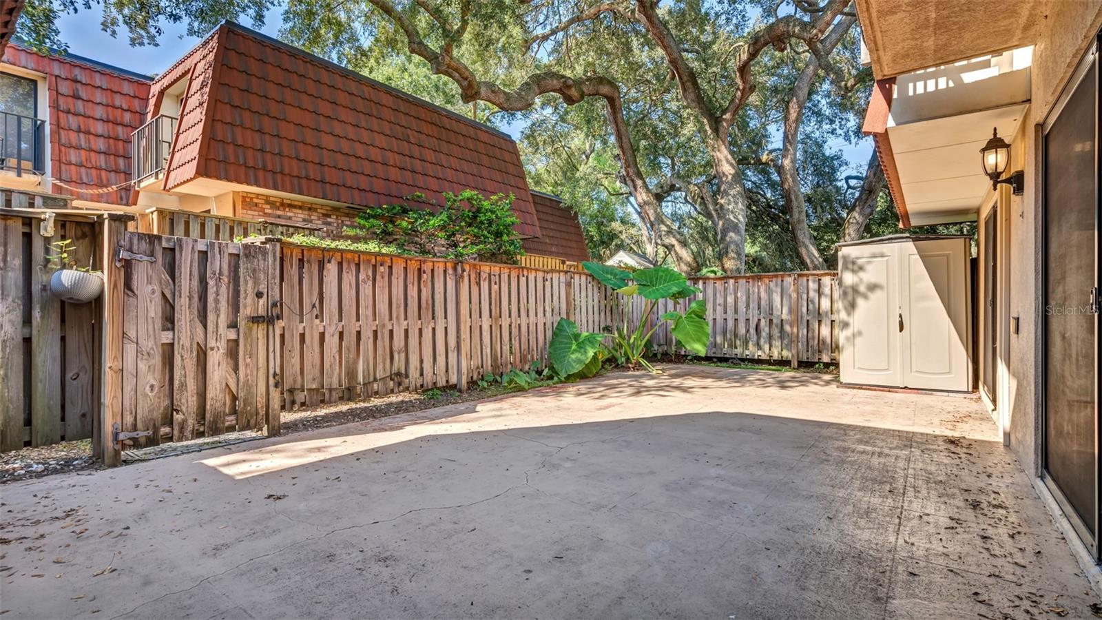 709 1ST CT, PALM HARBOR, FL, 34684