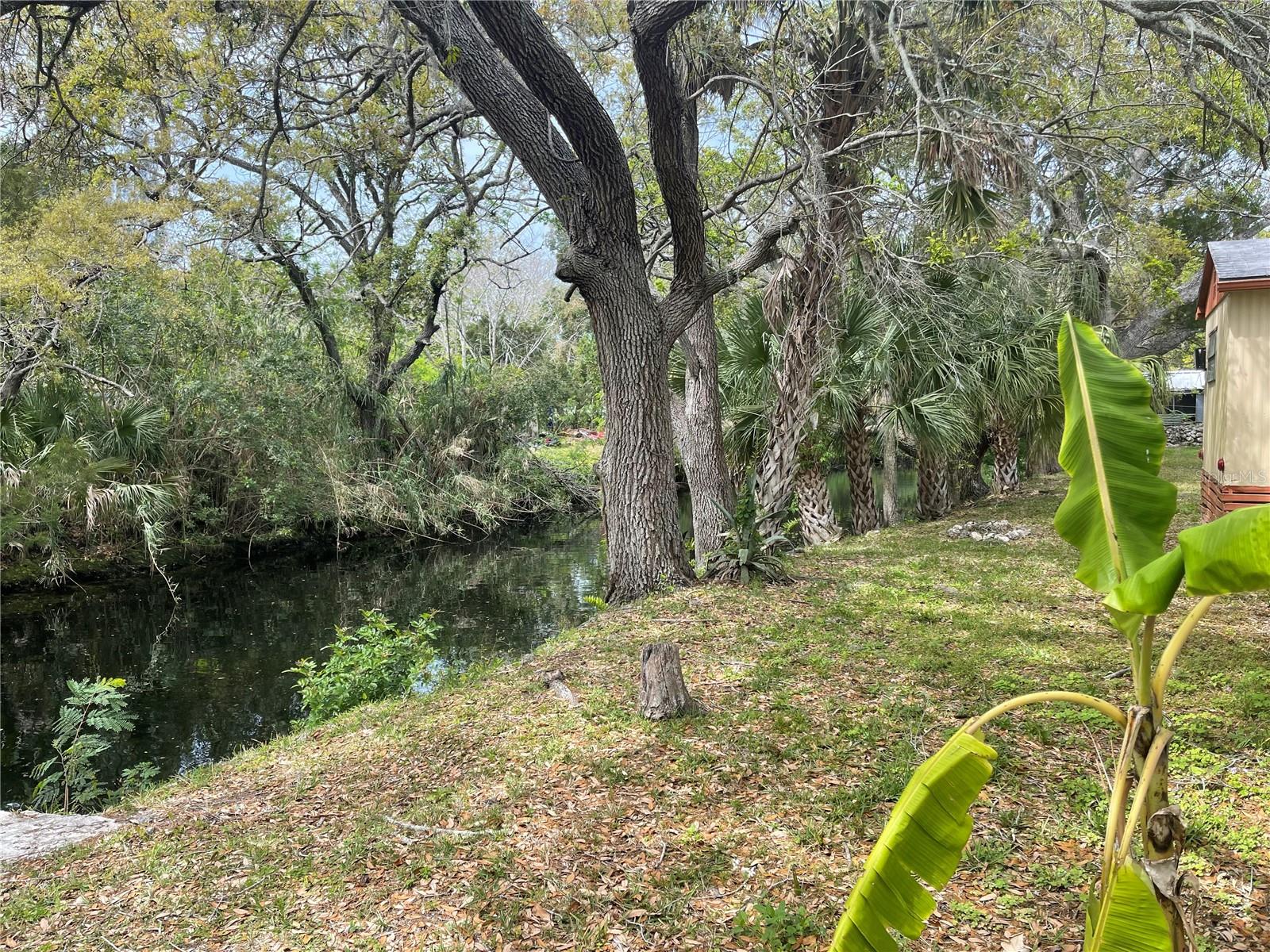 14617 CORAL DR, HUDSON, FL, 34667