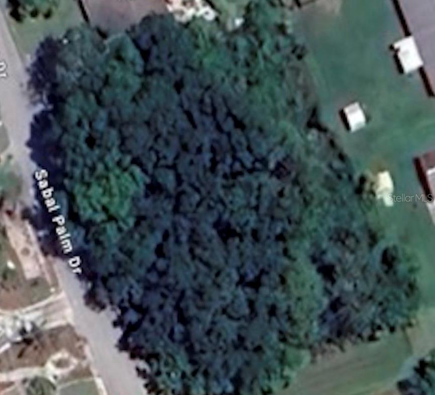 0 SABAL PALM DR, EDGEWATER, FL, 32141