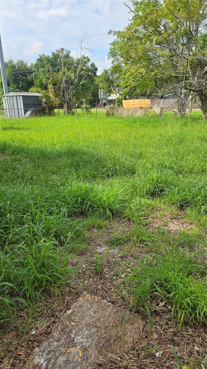 1232 ELINORE DR, ORLANDO, FL, 32808