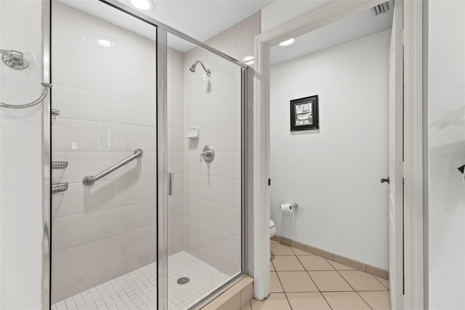 501 MANDALAY AVE #810, CLEARWATER BEACH, FL, 33767