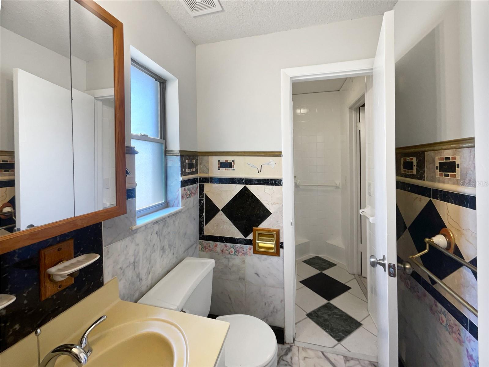 800 MARION DR, MOUNT DORA, FL, 32757