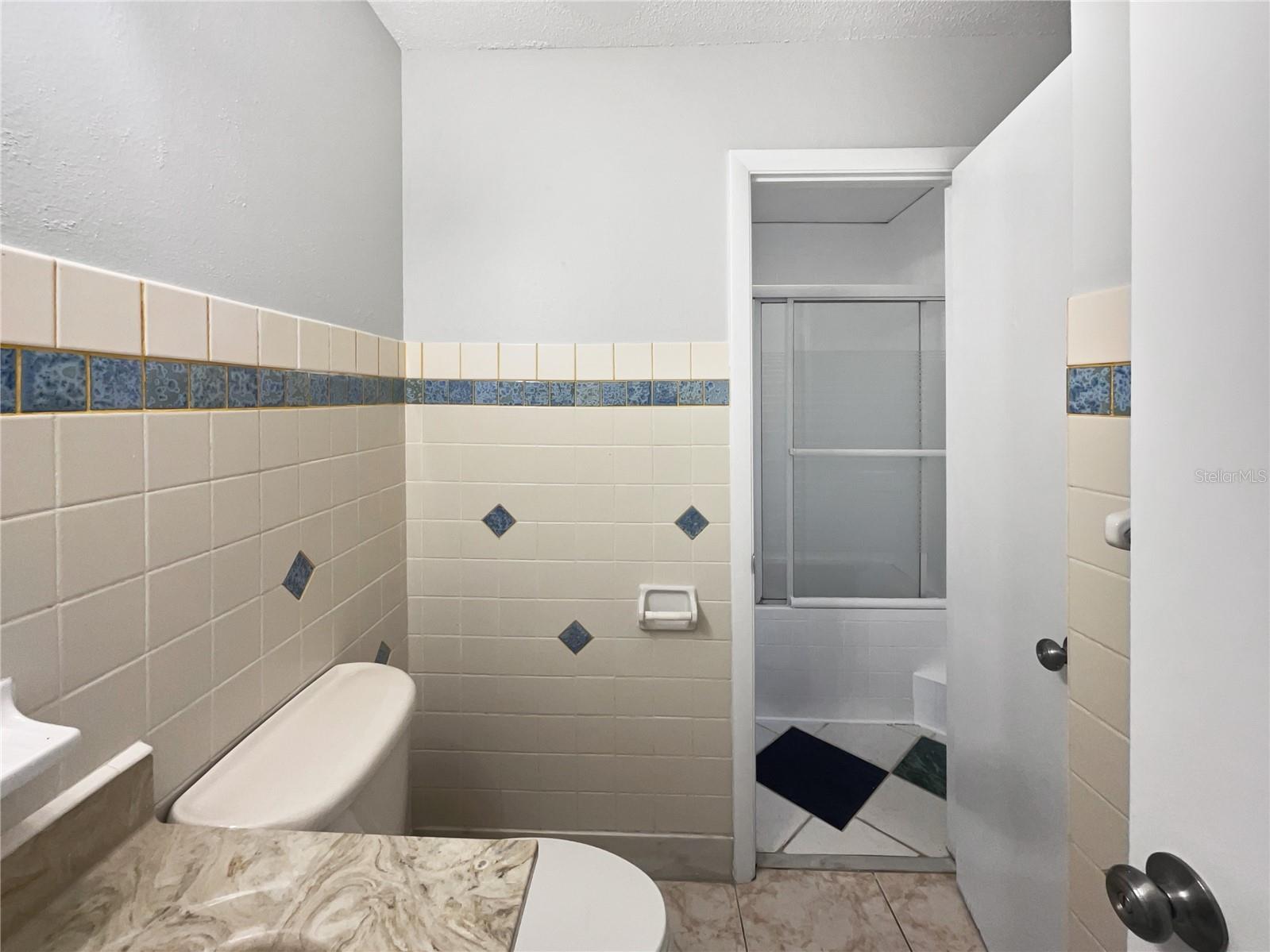 800 MARION DR, MOUNT DORA, FL, 32757