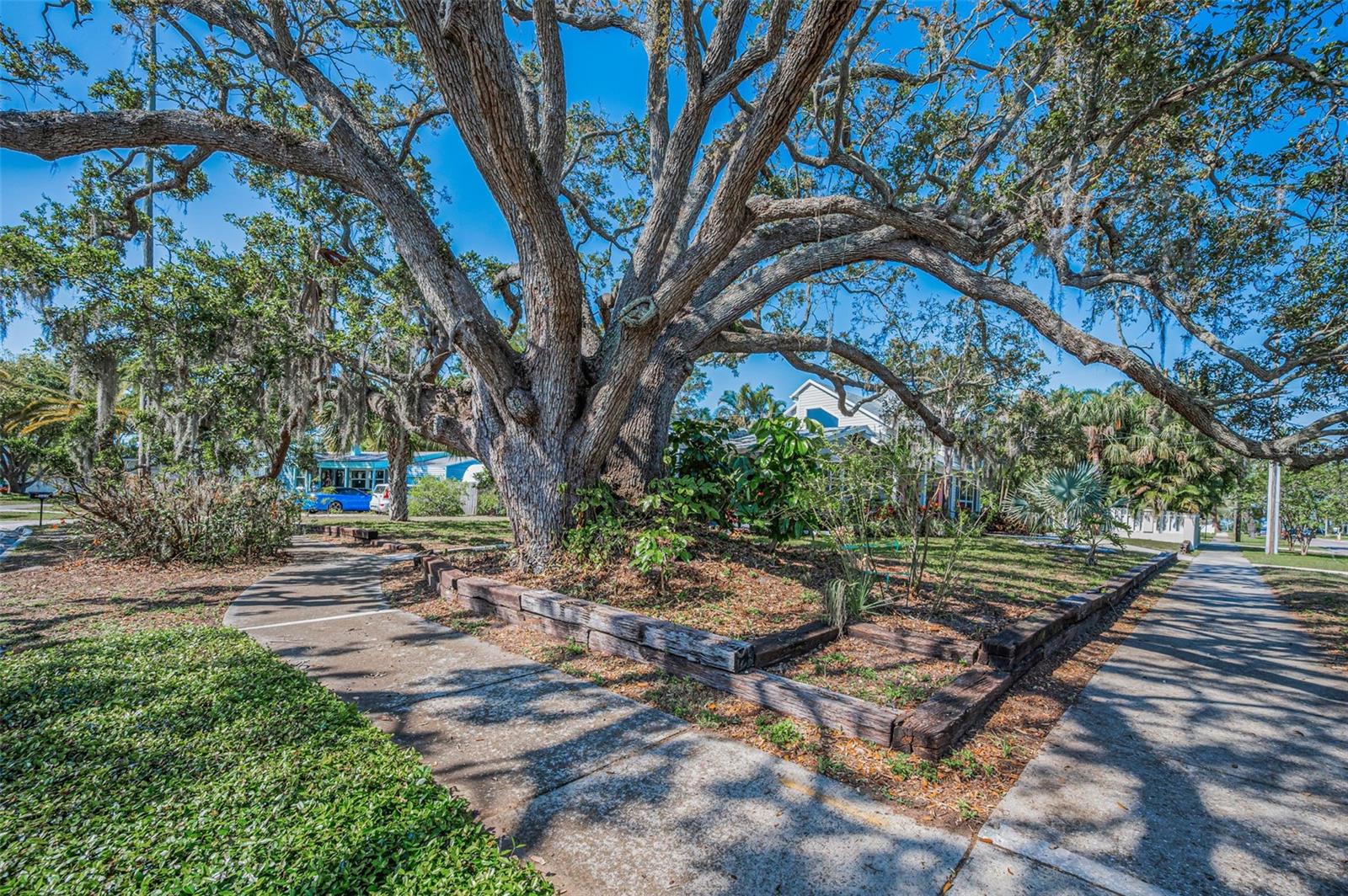 223 LIME CIR S, DUNEDIN, FL, 34698