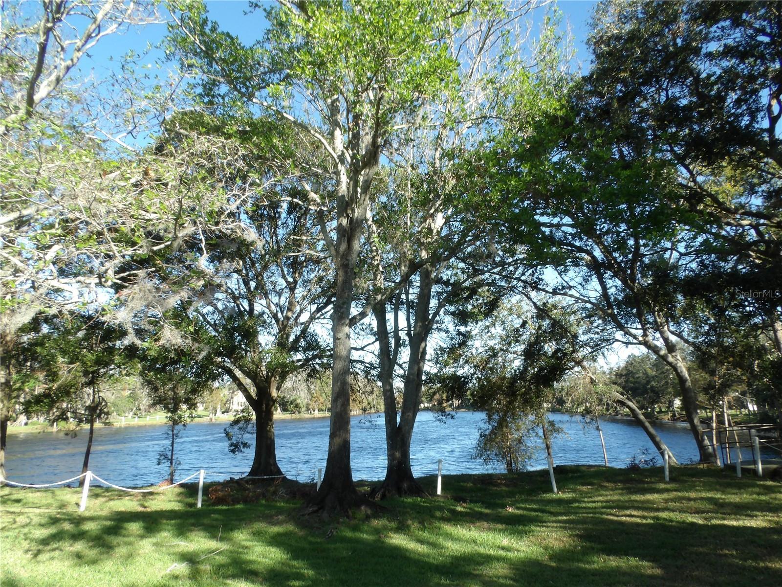 2489 OAKLEAF LN #21C, CLEARWATER, FL, 33763