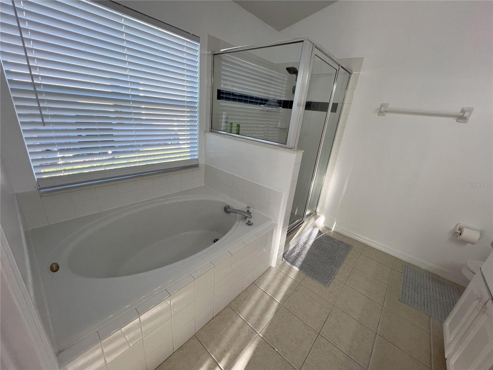 725 KILDRUMMY DR, DAVENPORT, FL, 33896