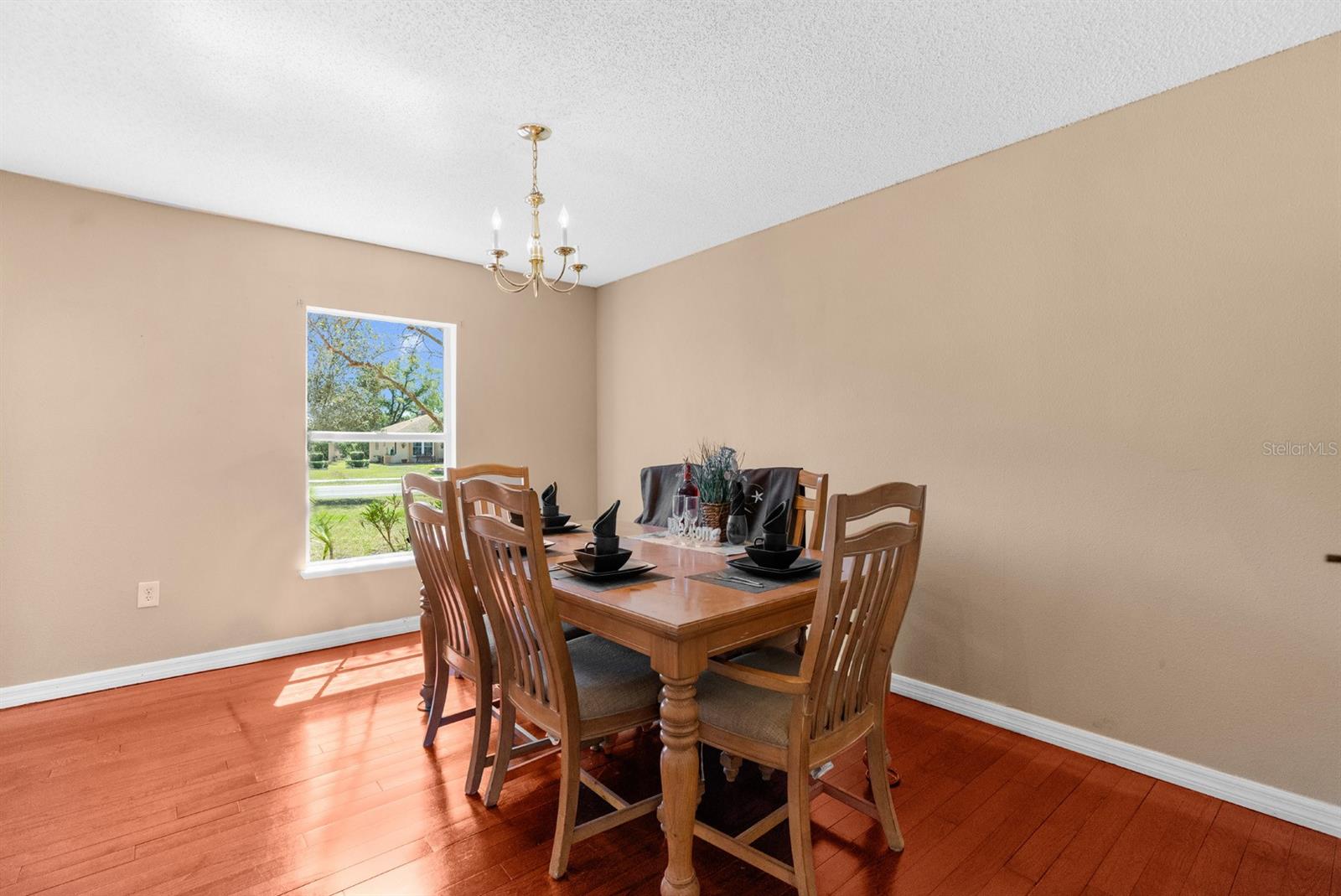 10399 ELGIN BLVD, SPRING HILL, FL, 34608