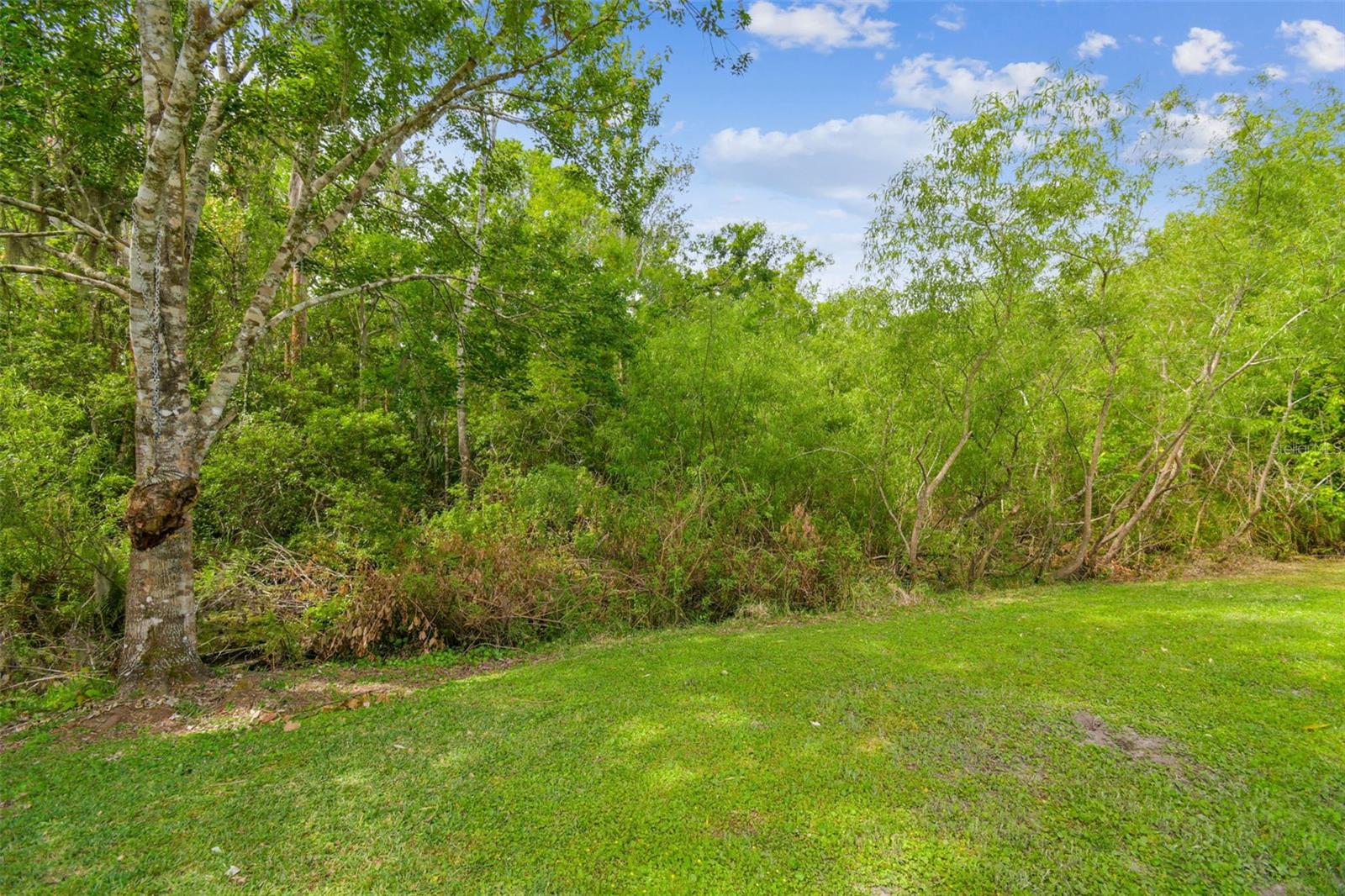 4555 DEBBIE LN, LUTZ, FL, 33559