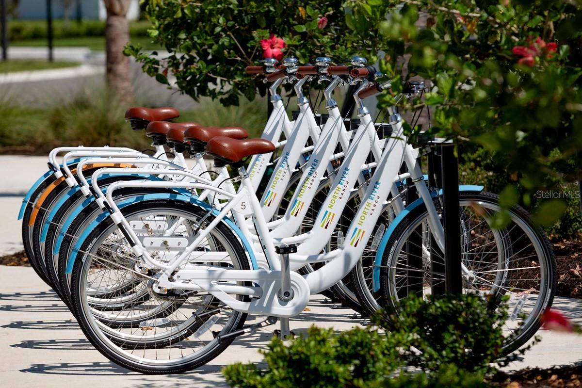 11884 RICHMOND TRL, PARRISH, FL, 34219