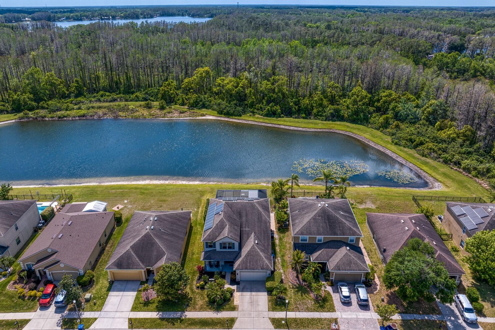 5535 SHASTA DAISY PL, LAND O LAKES, FL, 34639