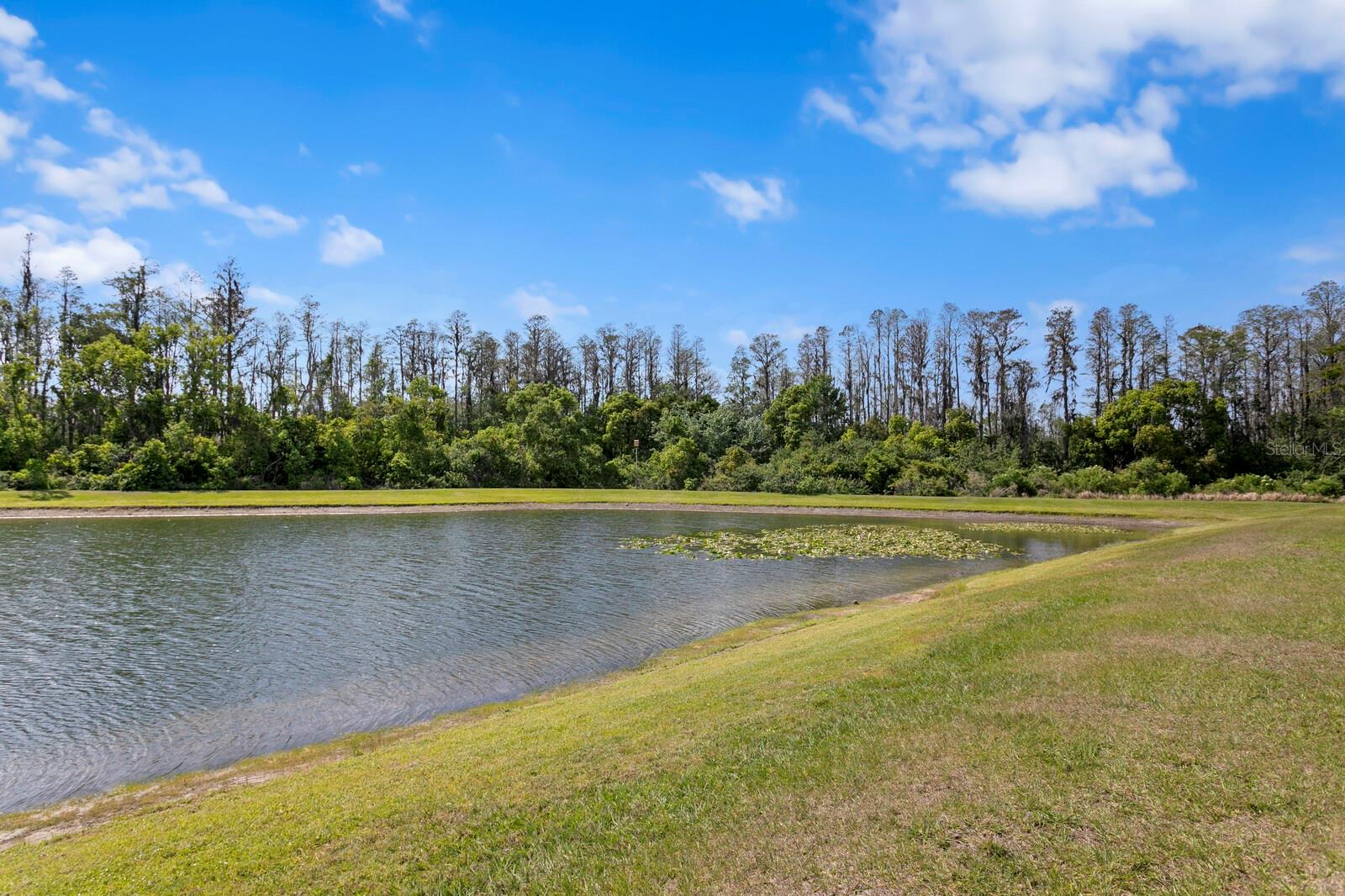 5535 SHASTA DAISY PL, LAND O LAKES, FL, 34639