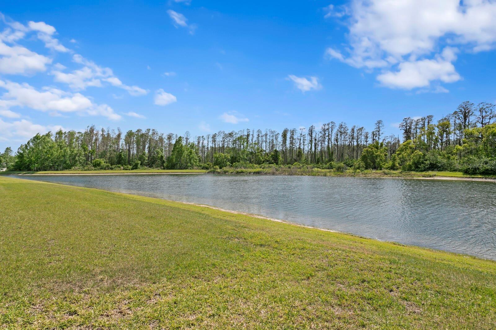 5535 SHASTA DAISY PL, LAND O LAKES, FL, 34639