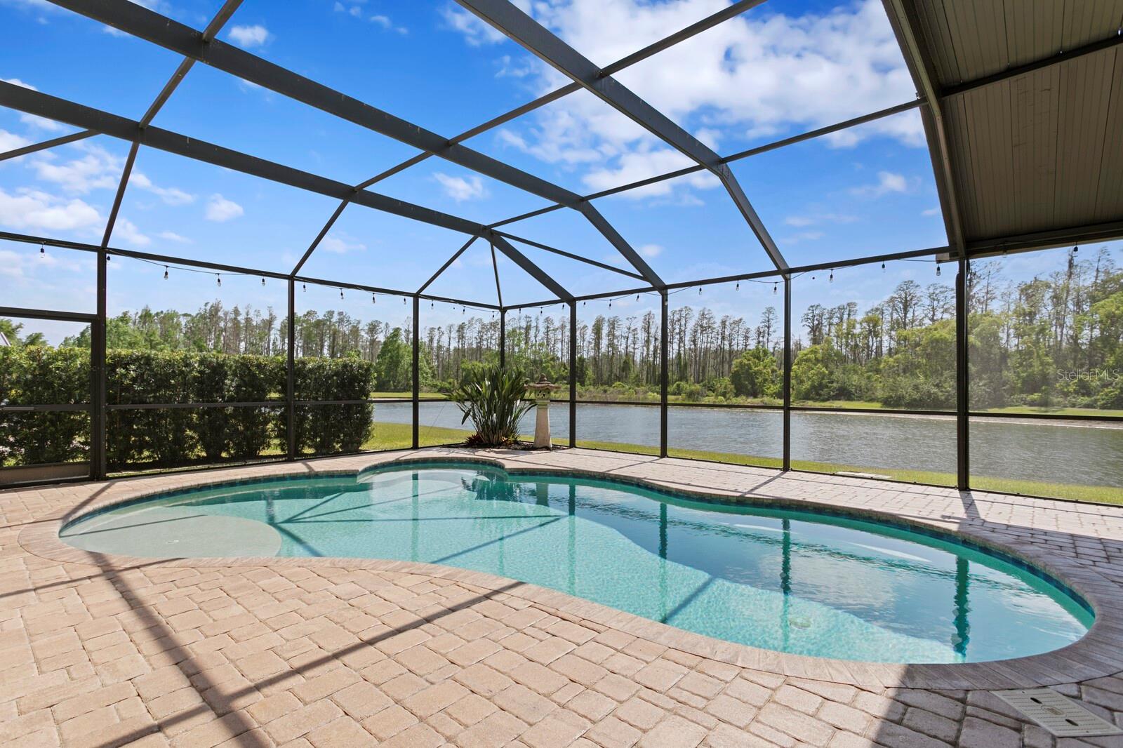 5535 SHASTA DAISY PL, LAND O LAKES, FL, 34639