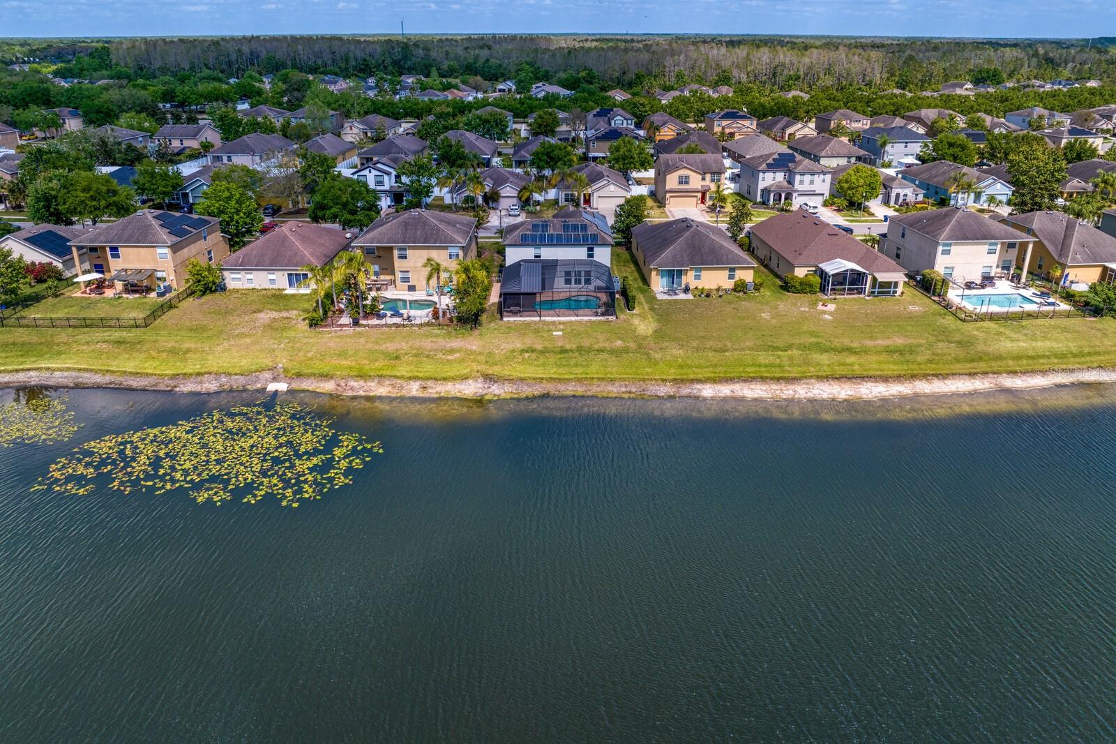 5535 SHASTA DAISY PL, LAND O LAKES, FL, 34639