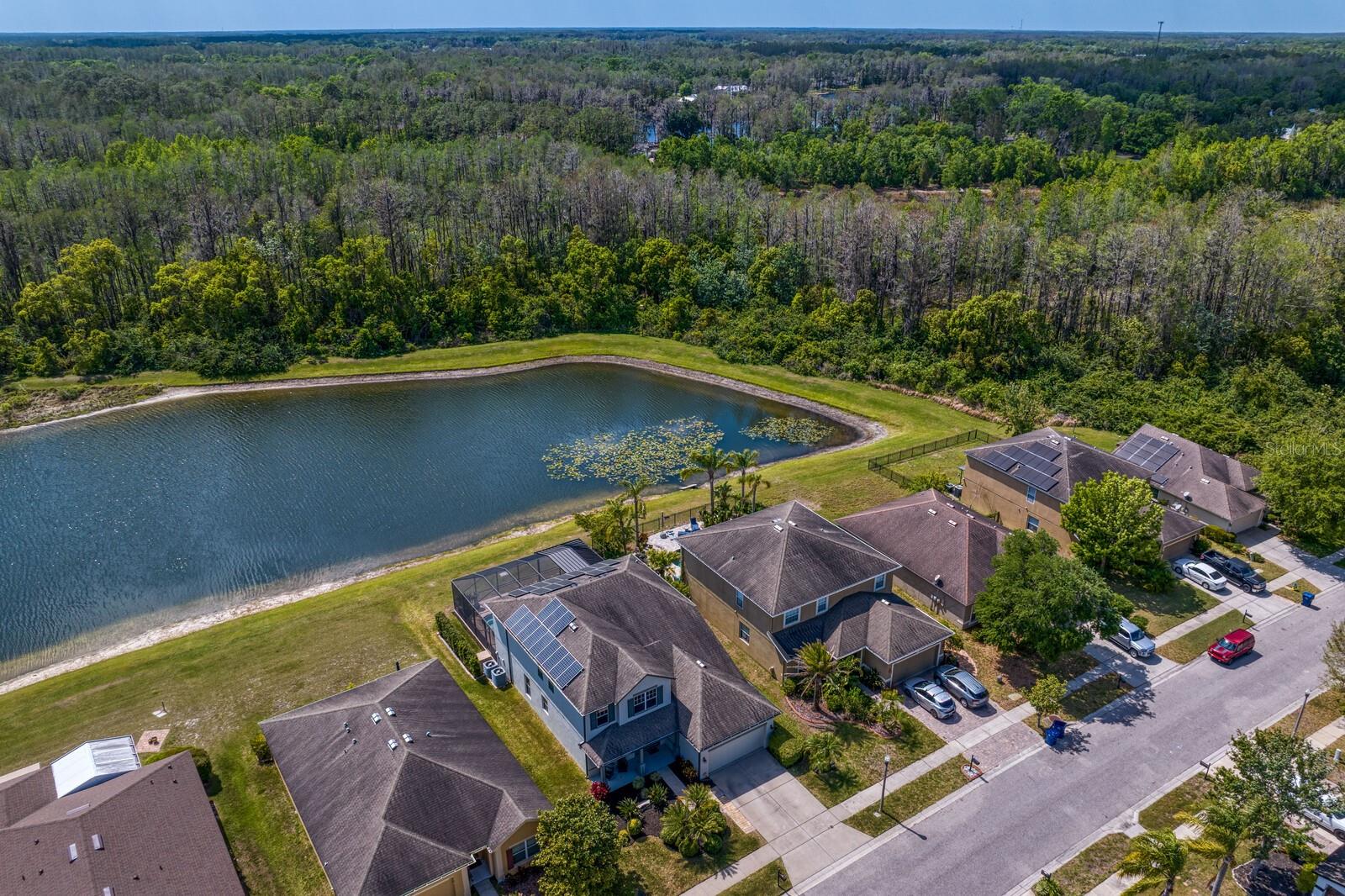 5535 SHASTA DAISY PL, LAND O LAKES, FL, 34639