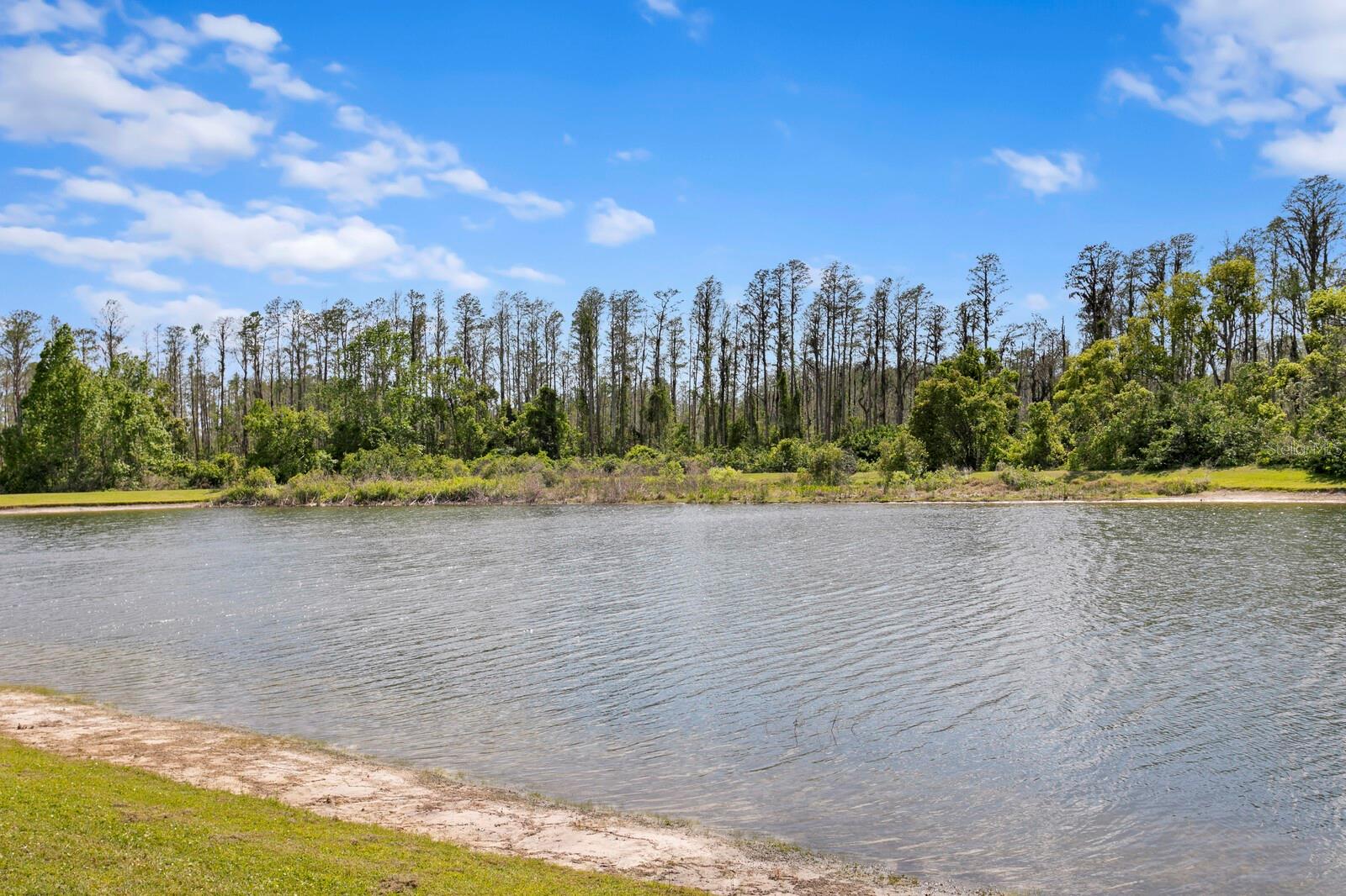 5535 SHASTA DAISY PL, LAND O LAKES, FL, 34639