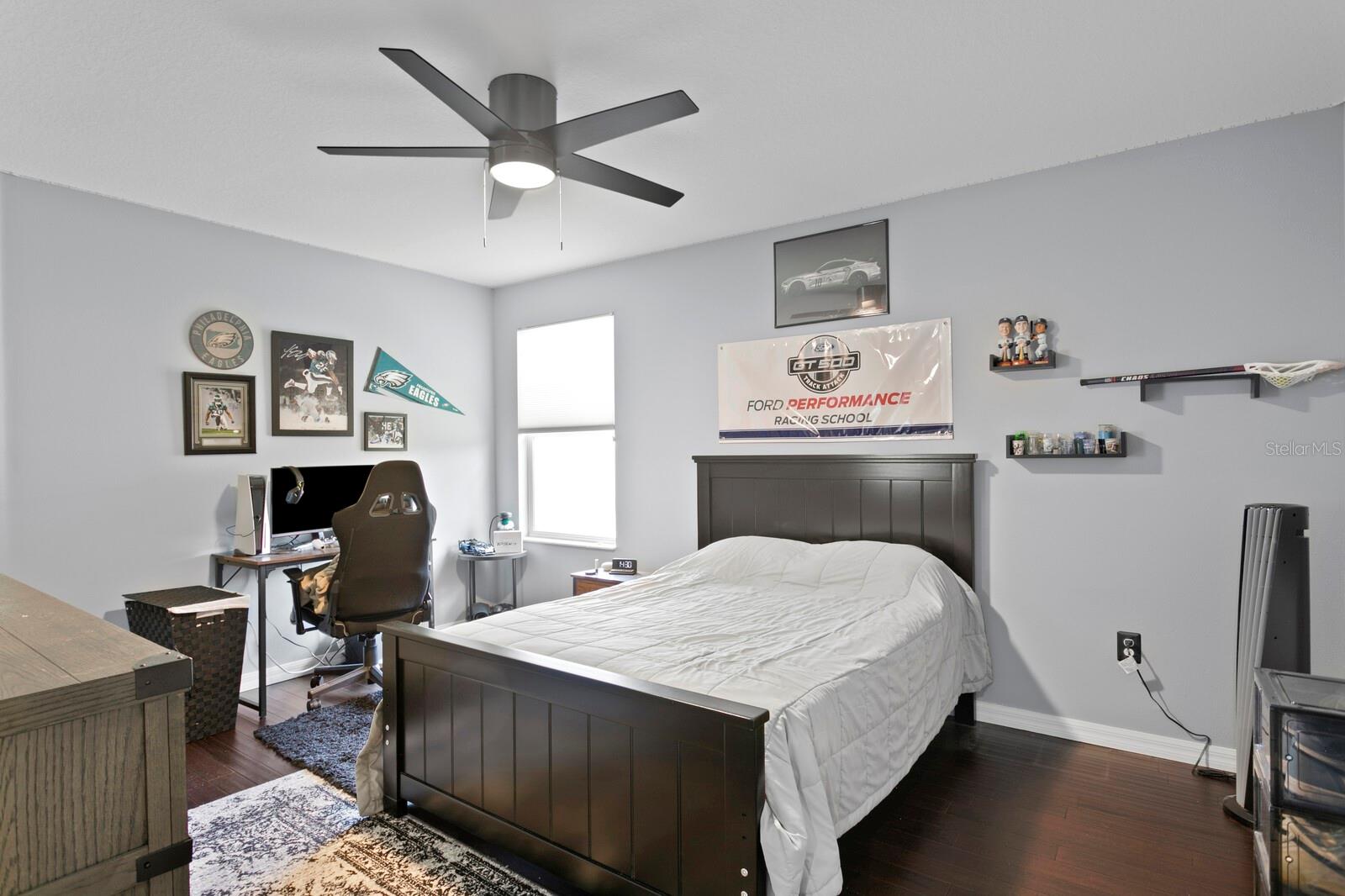 5535 SHASTA DAISY PL, LAND O LAKES, FL, 34639