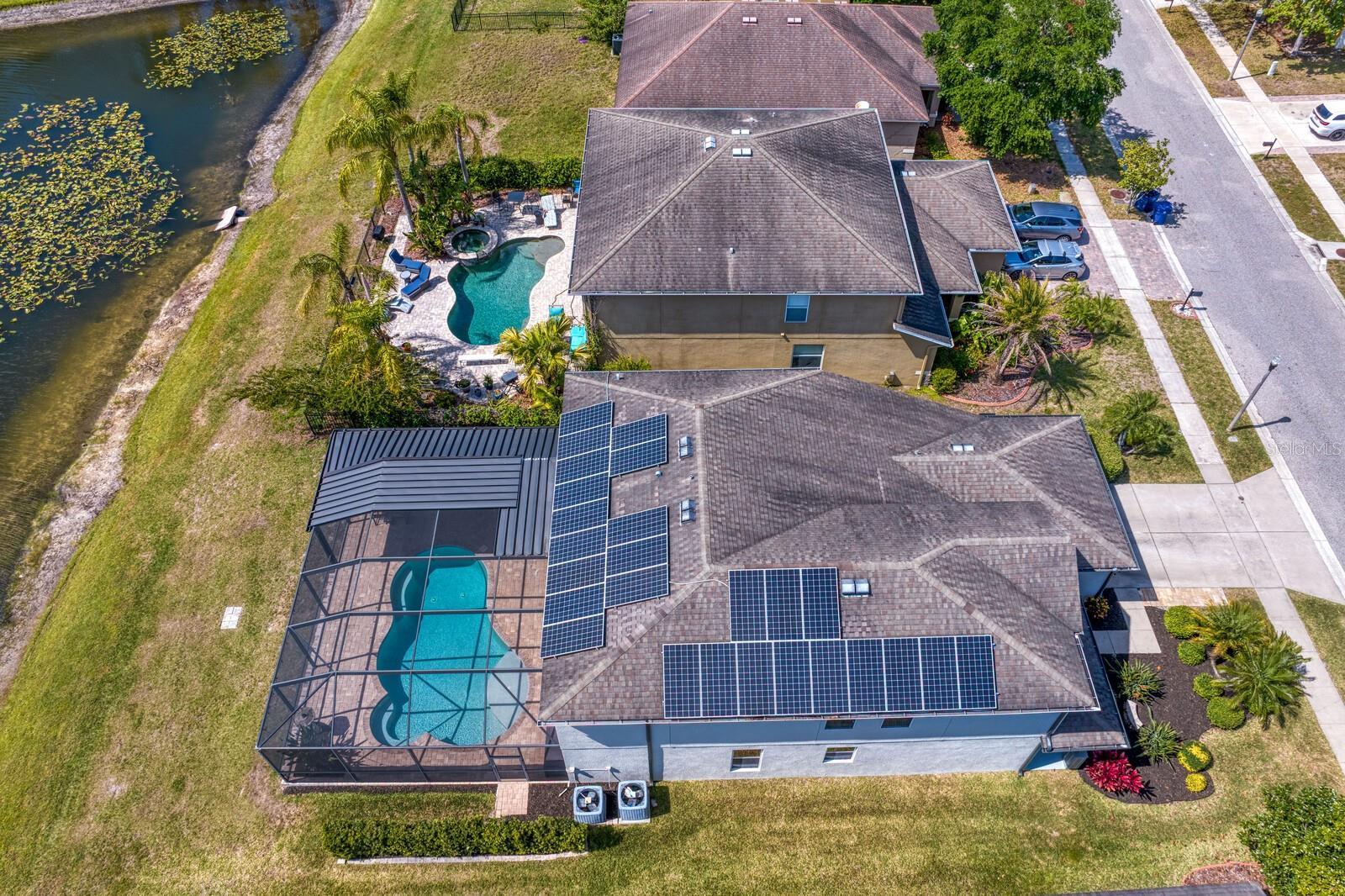 5535 SHASTA DAISY PL, LAND O LAKES, FL, 34639