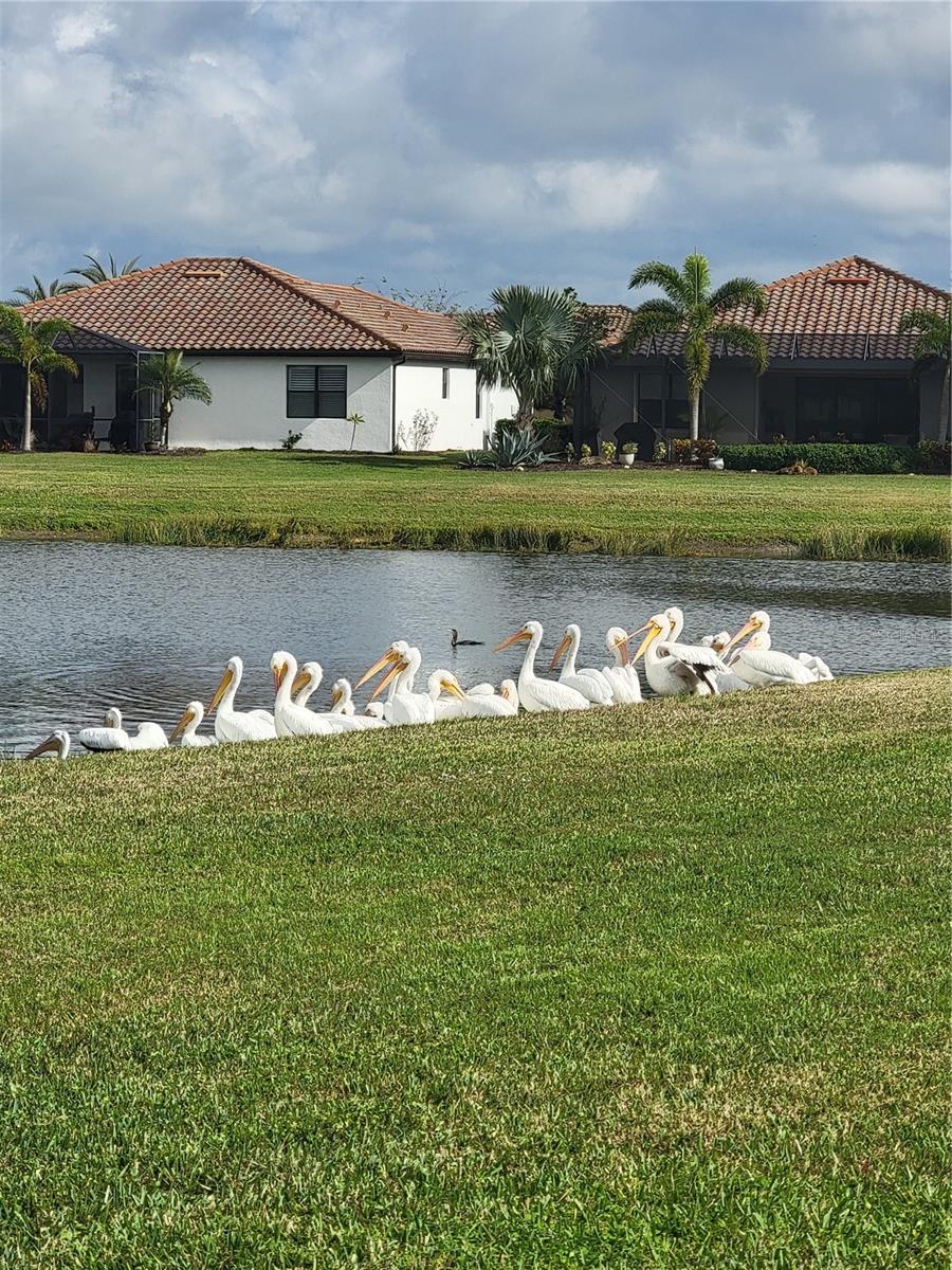 227 HERITAGE PRESERVE RUN, BRADENTON, FL, 34212