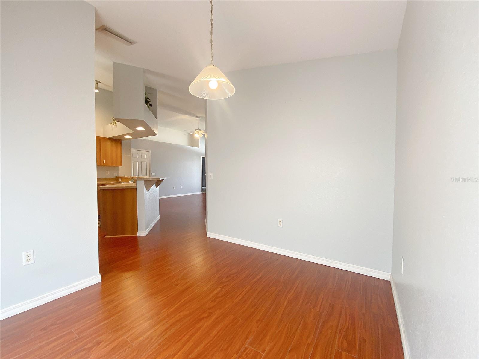 445 SAVANNA POINTE ST, WINTER HAVEN, FL, 33884