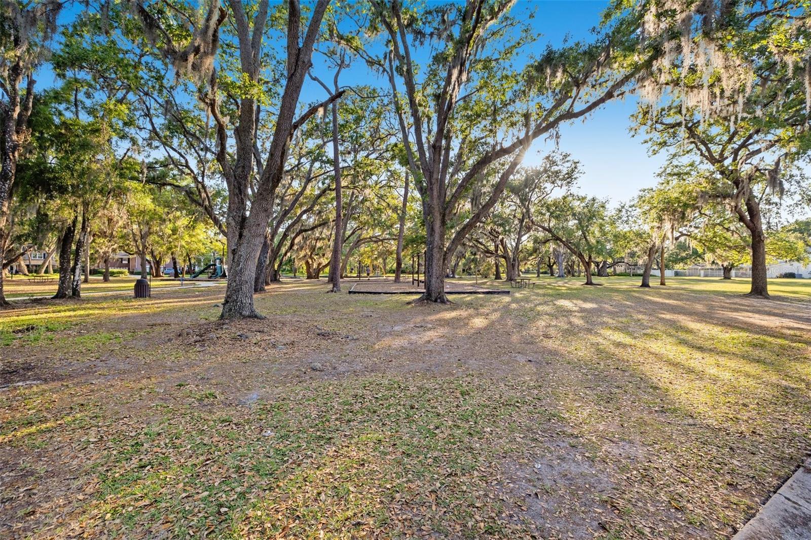 1406 N RIVERHILLS DR, TEMPLE TERRACE, FL, 33617