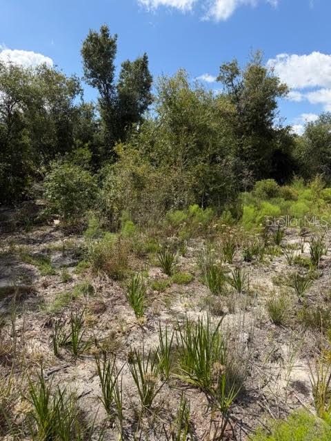 5425 JACARANDA DR, PUNTA GORDA, FL, 33982