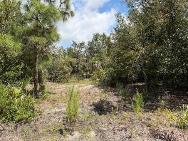 5425 JACARANDA DR, PUNTA GORDA, FL, 33982