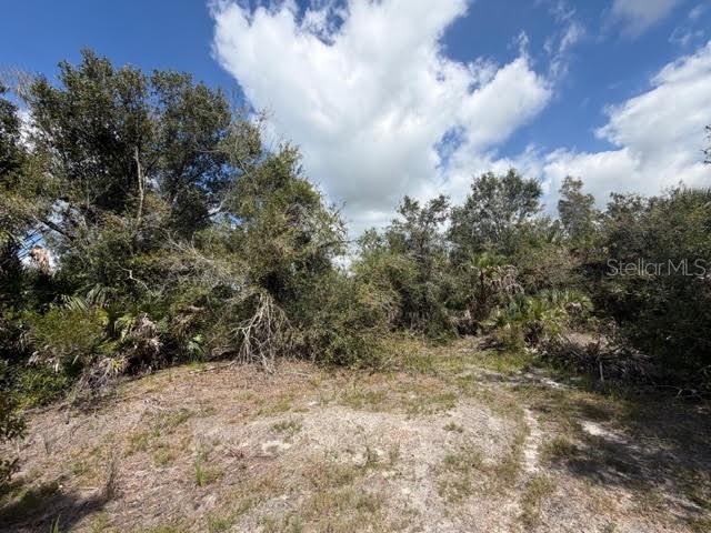 5425 JACARANDA DR, PUNTA GORDA, FL, 33982