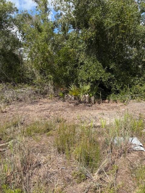 5425 JACARANDA DR, PUNTA GORDA, FL, 33982