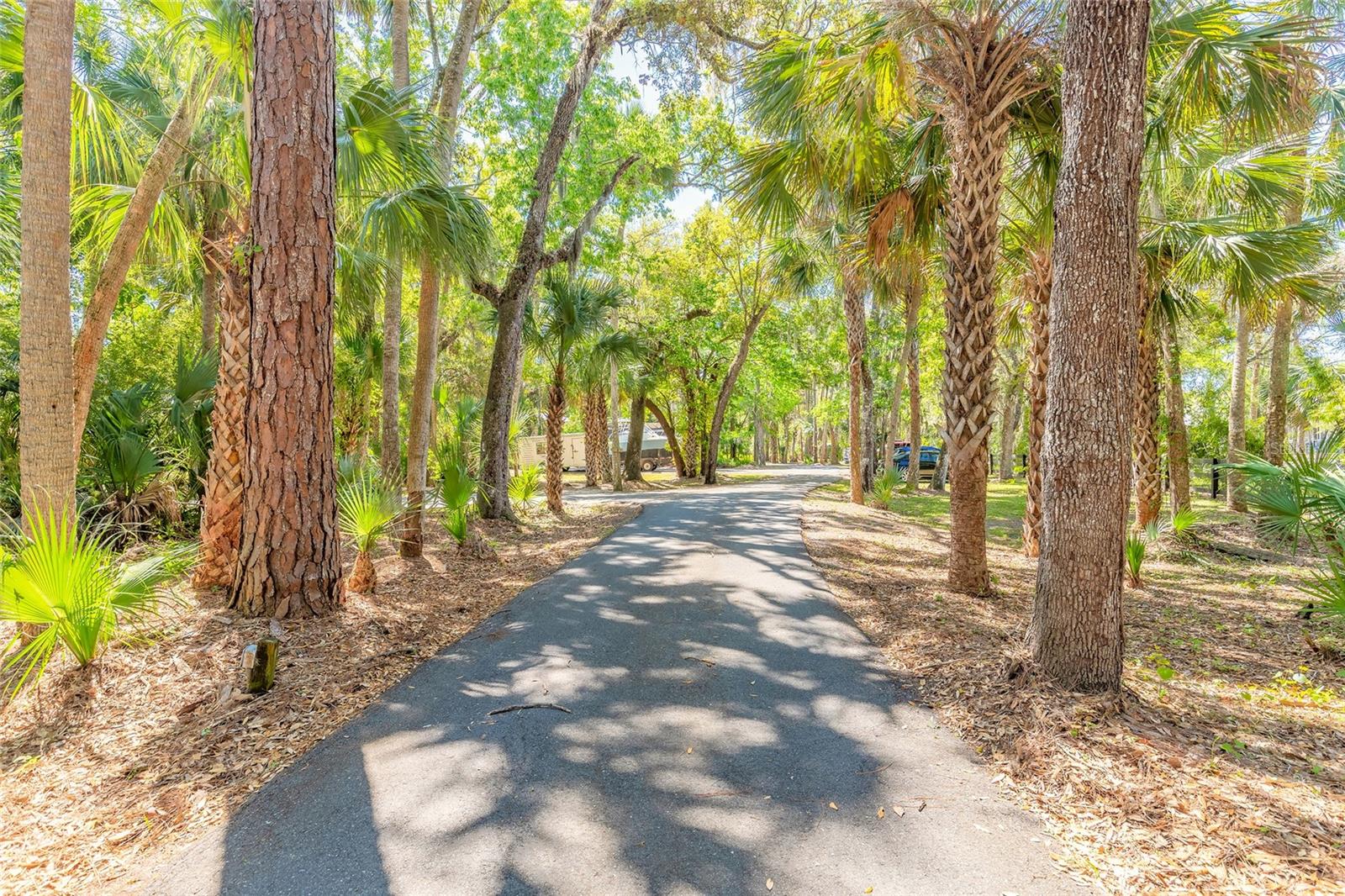 2646 TURNBULL BAY RD, NEW SMYRNA BEACH, FL, 32168