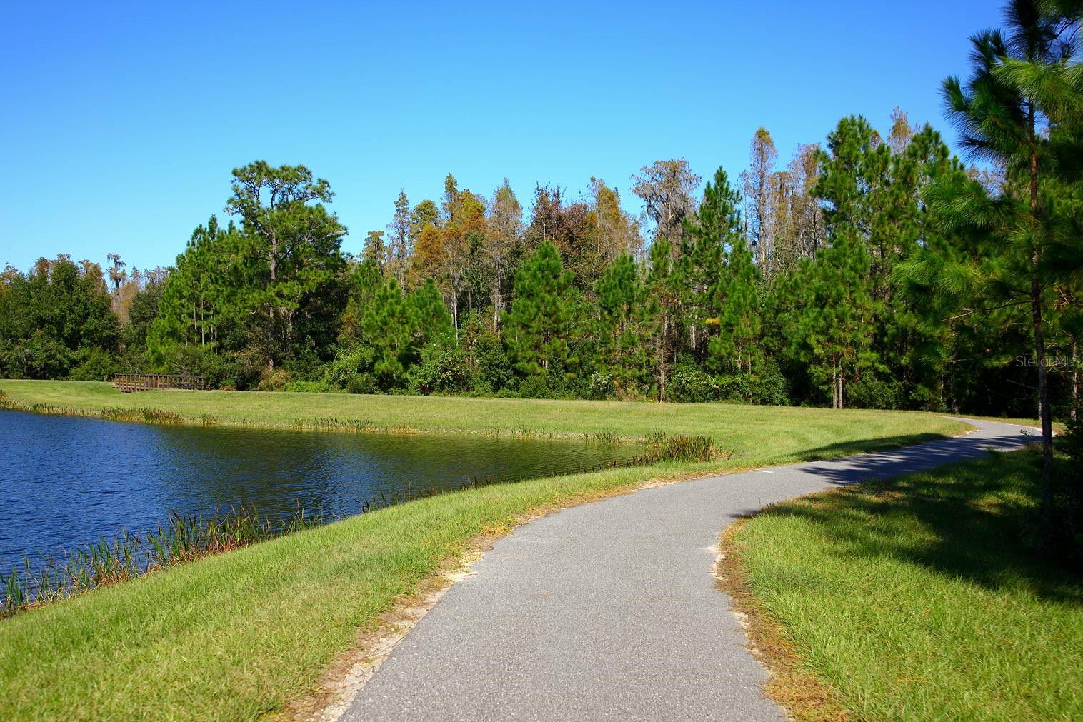 8108 PAINTED SKY PL, LAND O LAKES, FL, 34637