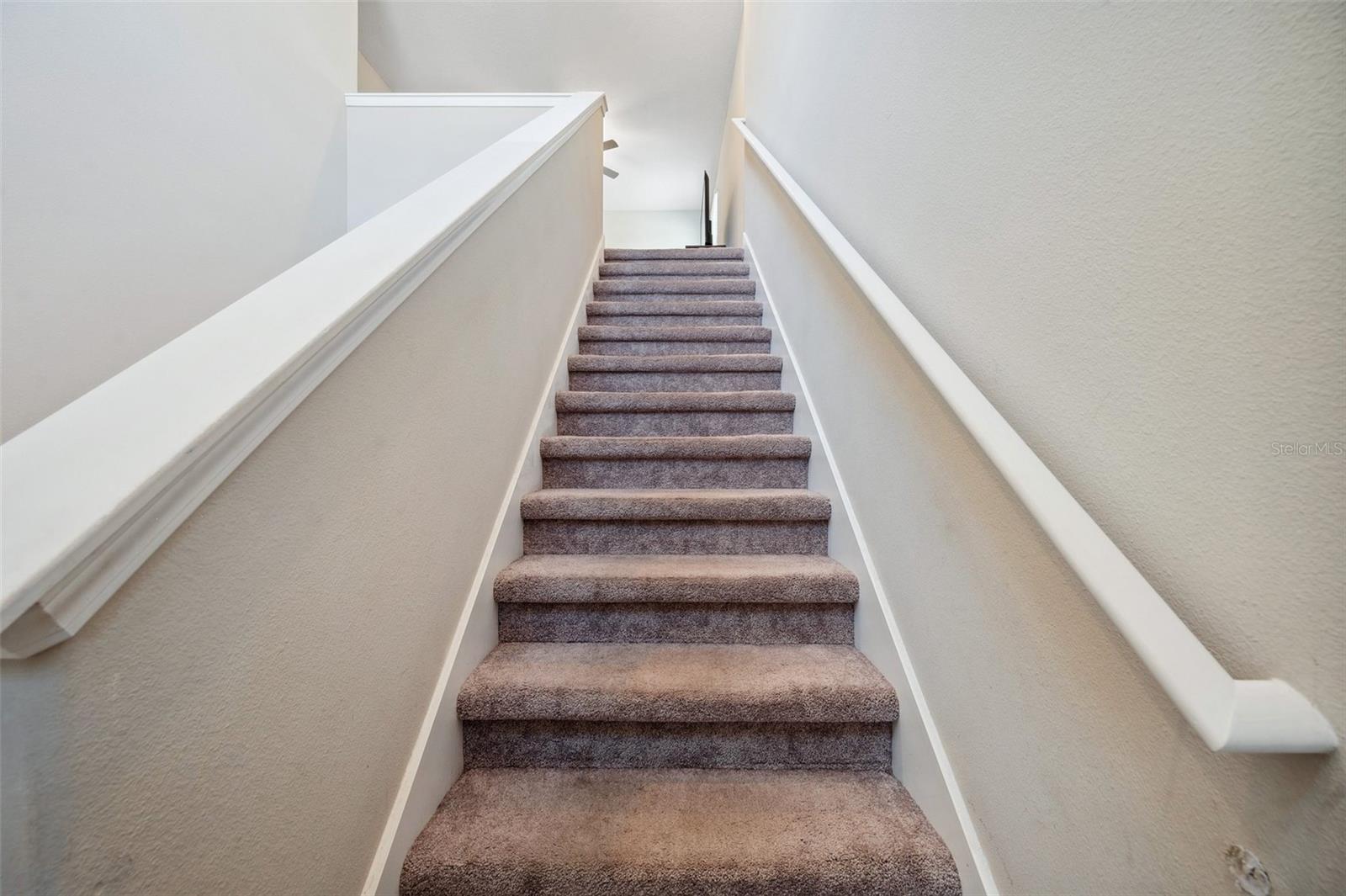 6068 APPLE SNAIL AVE, NEW PORT RICHEY, FL, 34653