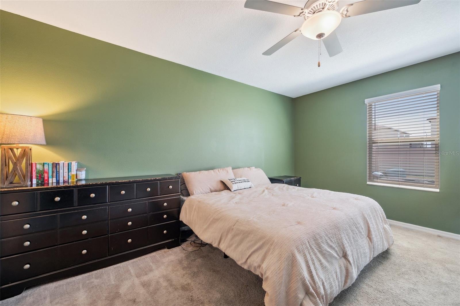 6068 APPLE SNAIL AVE, NEW PORT RICHEY, FL, 34653