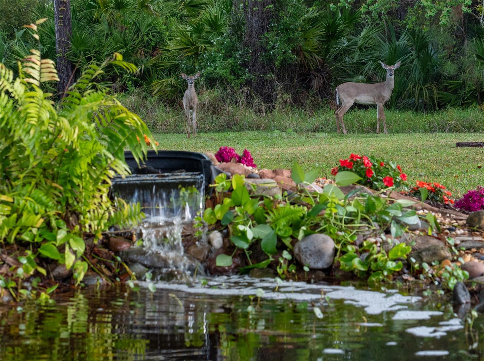 138 LARAMIE DR, PALM COAST, FL, 32137