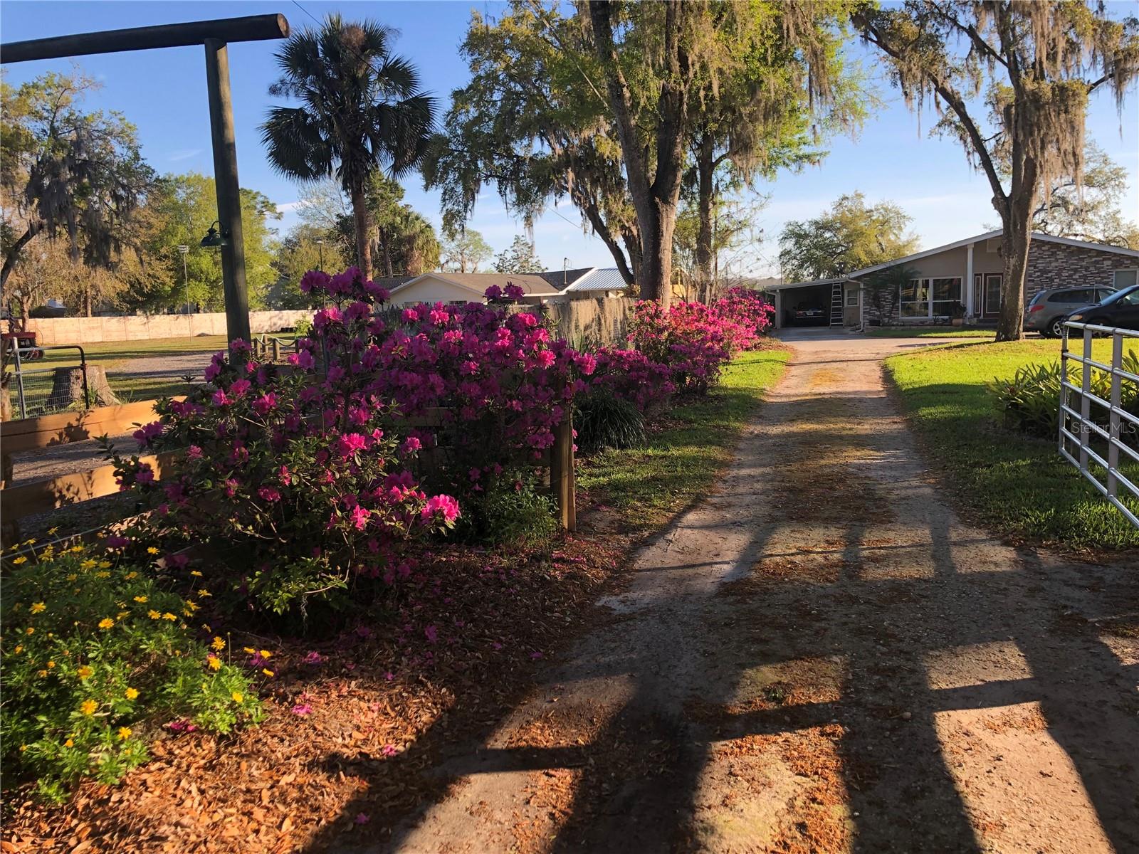 3655 E OSCEOLA RD, GENEVA, FL, 32732