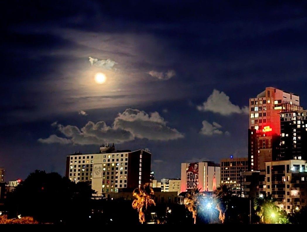 201 W LAUREL ST #702, TAMPA, FL, 33602