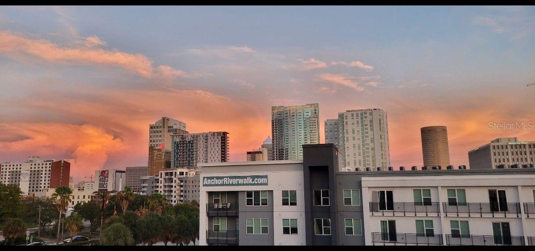 201 W LAUREL ST #702, TAMPA, FL, 33602