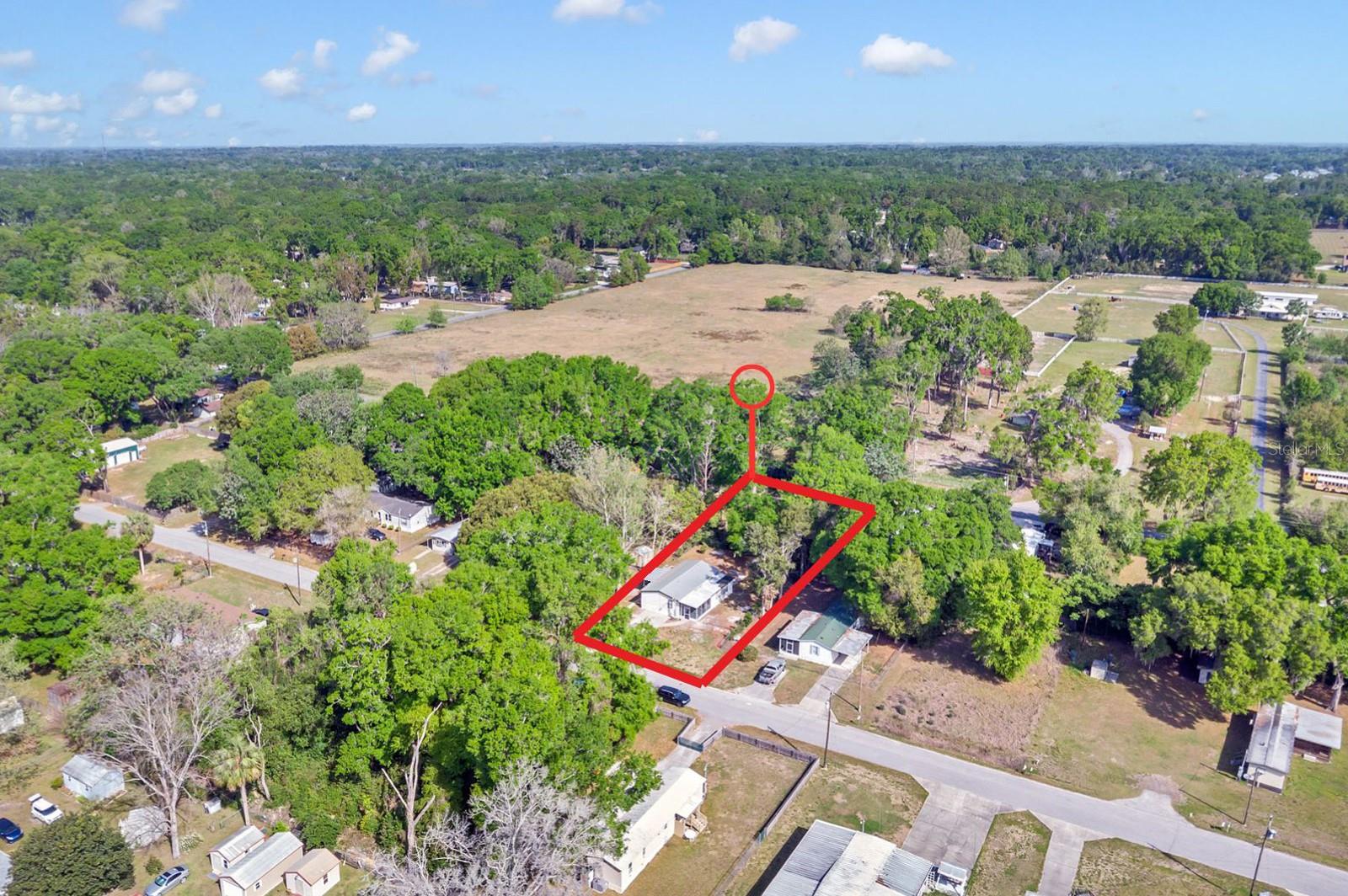 4855 SE 145TH PL, SUMMERFIELD, FL, 34491